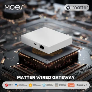 Smart Home Bridge Matter Hub